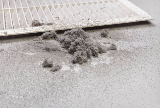 Best Best Air Duct Cleaning Company  in Shelton, WA
