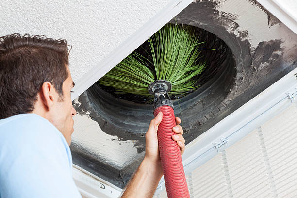 Best Affordable Air Duct Cleaning  in Shelton, WA