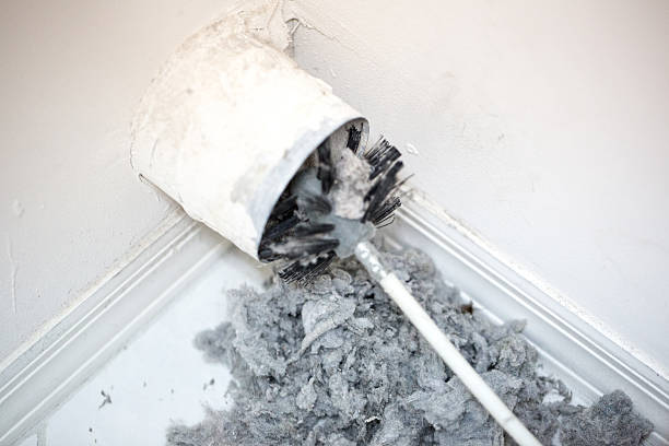 Best HVAC System Cleaning  in Shelton, WA